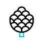 pine-cone